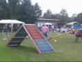 Degerloch Agility1 Small James und Suse