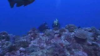 PADI Master Scuba Diver