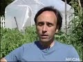 A Kitchen Garden on the White House Lawn?