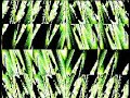 The Hardstyle Mix The Hardstyle Mix