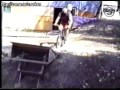 jackass on bike 3gp