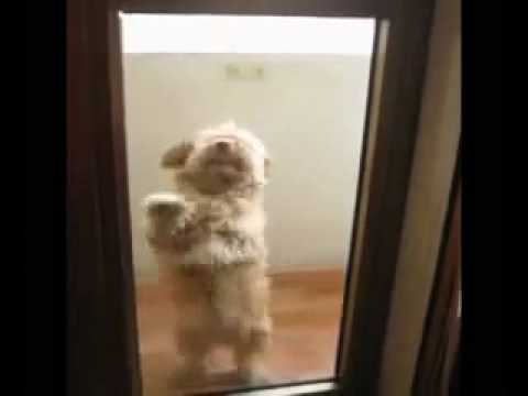 Vedi il video