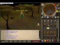 Jokerscape! 508 server