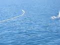 Rabac 2008 - 5000 m swimming marathon