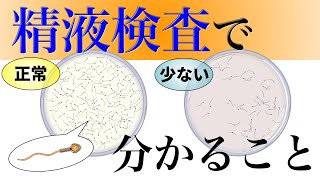 5.あなたの精子、大丈夫ですか？