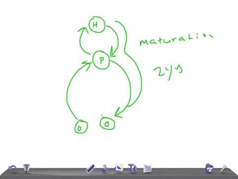 how to relieve dysmenorrhoea