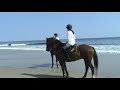 2008 Beach