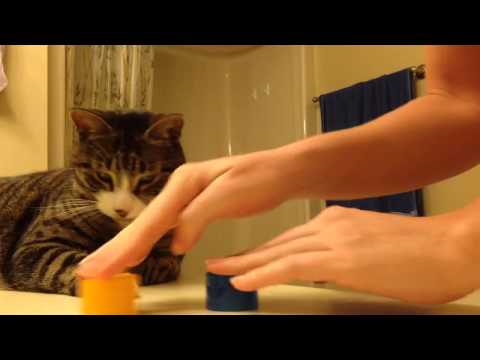 Play YouTube video