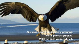 ¡BIENVENIDOS!
