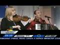 Bele pcele - Bamoleo live