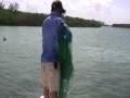 Cast Netting Bait for Florida Snook Fishing
