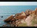 photo video: marcouinon
musique: gerard blanc une autre histoire
http://marcouinon.blogspot..com