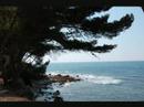 photo video: marcouinon
musique: gerard blanc une autre histoire
http://marcouinon.blogspot..com