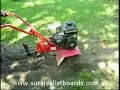 Planting a fall garden - part 2 Planting a fall garden - part 2