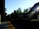 Metro North M7's meet at Fleetwood