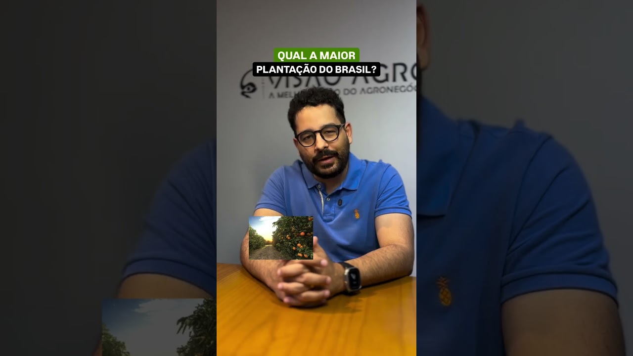Qual é a MAIOR plantação do Brasil? 🌱🇧🇷 (Você vai errar!) #AgroBrasil #Plantação #Shorts