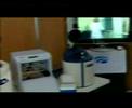 XXI Congreso Nacional de Microbiología