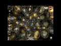 Science of minus 10 Biology iPad App