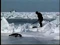 chikopi-open-water-swimming.html