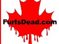 Canada's Seal Slaughter