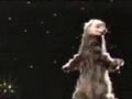 Budweiser Lizards Commercial - The Ferret Sings