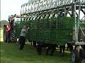 Pferd dreht durch - Horse is cracking up Pferd dreht durch - Horse is cracking up