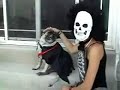 Count Pugula