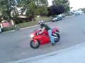 MOV00005.3gp