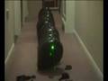 videos de Gizget.com  - Grønn laser som sprenger ballonger