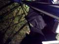 fried at camp sat night.mp4