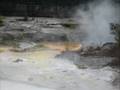 videos de whakarewarewa.wmv