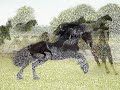les chevaux