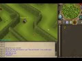 Runescape Money Making Guide