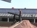 Carter skate