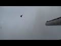 Shooting geese with 4 shot - black cloud really is devestating!!