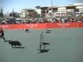 videos de Knock Out 30-12-2008.wmv