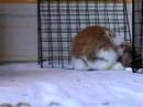 Bunzy Cam 5