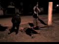 el zorro parte 1