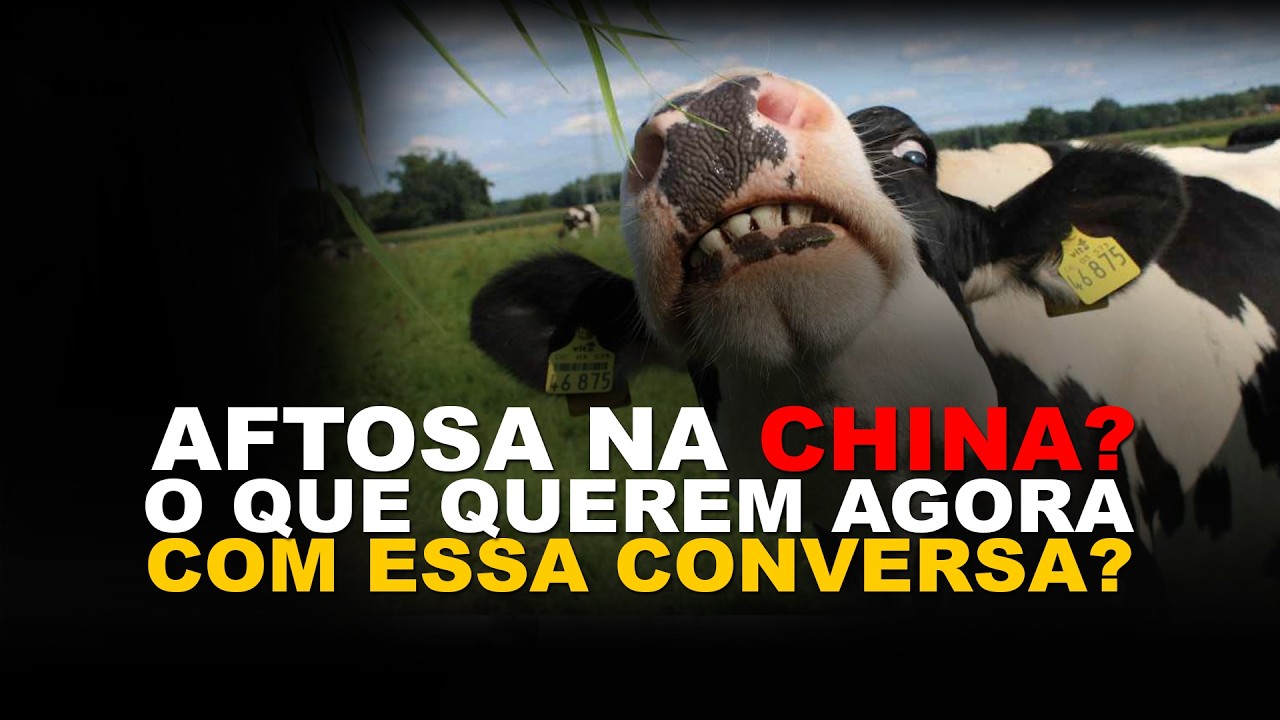 AFTOSA NA CHINA? O QUE QUEREM AGORA COM ESSA CONVERSA?