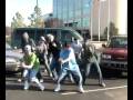 stanky legg-SMC