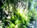 The Prisoner - Quick tour of Portmeirion