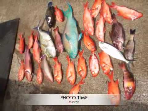 Travel Hawaii: Free Diving Spearfishing North Shore, Oahu