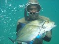 Travel Hawaii: Free Diving Spearfishing North Shore, Oahu