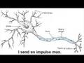 Brain Project