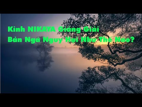 Kinh NIKAYA Giảng Giải - Bản Ngã Nguy Hại Như Thế Nào?