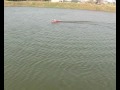 25 MPH Fast Remote Control (RC) Riva Aquarama Wooden Speed Boat Model by HandcraftedModelShips.com