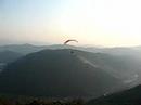 Volo