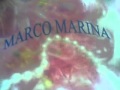 Marcn marina 15
