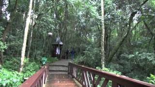 Parques e Bosques de Curitiba