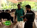 Success Story on Mixed farming with special emphasis on dairying
